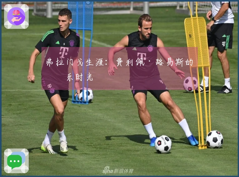 弗拉门戈生涯：费利佩·路易斯的快乐时光